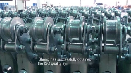 Shenxi CE Certified Safety Lock for China Suspended Platform