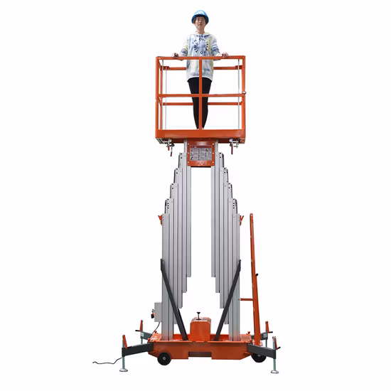 10m OEM Manufactor Double Vertical Hydraulic Electric Mast Lift Platform